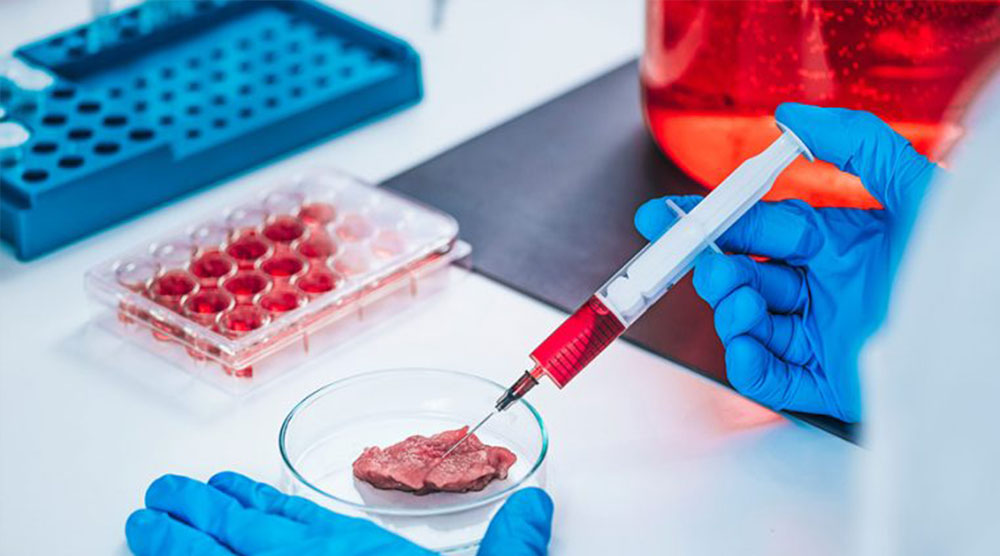 Translational Research & Innovation