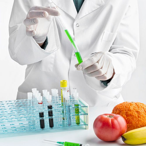 Food & Beverage Analysis